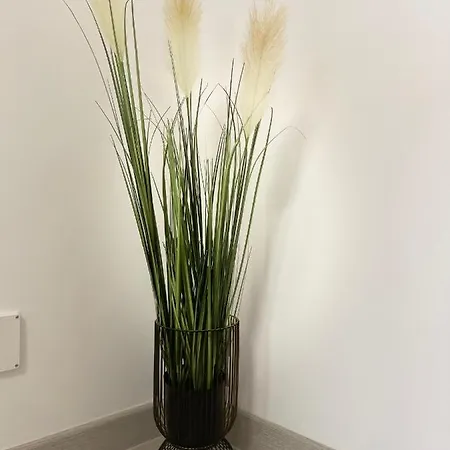 Apartment Triumf